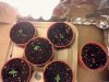 2-11-seedlings.jpg