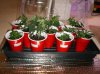 11 Clones Day 2.jpg