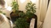 Grow Room 006.jpg