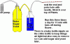 DIY co2.GIF