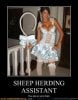 demotivational-posters-sheep-herding-assistant.jpg