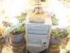 newbie71047-313281-albums-flowering-1-5-weeks-picture1466866-grow-room.jpg