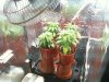 grow 2011 013.jpg