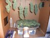 120 budz.jpg