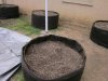 4-22-11  smart pots 005.jpg