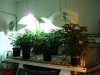 Veg Room Table.jpg