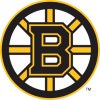 bostonbruinsinq.jpg