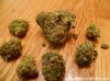 The-Purps-1-578x433.jpg