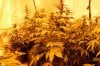 Up North Grow April 22 247.jpg