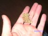 weed pics 002.JPG