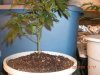 grow pix 084.jpg