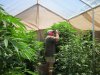 7-1-2011 greenhouse inspection 005.jpg