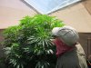 7-1-2011 greenhouse inspection 015.jpg