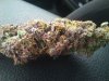 purpleurkle.jpg