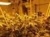 4 Week Bubba 3.jpg