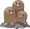 dugtrio.jpg