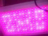 led 003.jpg