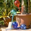 watering_globes_4pc_deluxe_set.jpg