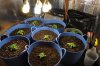 2 weeks old new pots 028.jpg