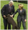 clinton-dog.jpg