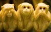 three-monkeys-704355.jpg