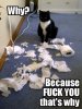 fuck-you-kitty-toilet-paper-450x600.jpg