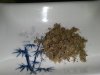 scissor hash from trimming.jpg