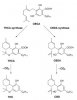 CBD.Synthesis.jpg