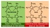 chlorophyll-hemoglobin.jpg