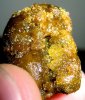 Budder%20Pic.jpg