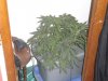 my grow 001.jpg