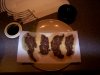 15  prepping meat for drying.jpg