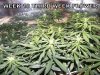 GROW WEEK 3.5 012.jpg