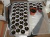 seedlings about 1 month 006.jpg