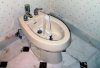 the-french-bidet.jpg