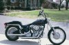 My 1999 Softail FXST.jpg