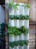 VERTICAL-VEGETABLES-Grow-up-in-a-small-garden-a.jpg