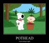 LOL_FamilyGuyWeed.jpg