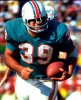 Csonka_Larry_Action_180-220.jpg