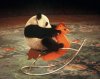 rocking-horse-panda.jpg