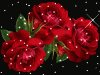 rose_034.gif