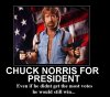 chucknorris1_13094554434.jpg