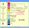 184phdiagram.gif