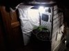 grow tent 2.jpg