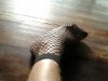 stocking foot 007.jpg