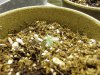 nedyah-379220-albums-grow-closet-picture2018692-macro-seedling.jpg