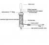 supercritical co2 extraction chamber plug in.JPG