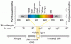 spectrum.gif