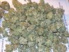 cfl stealth dresser grow 049.jpg