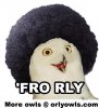 fro_really.jpg